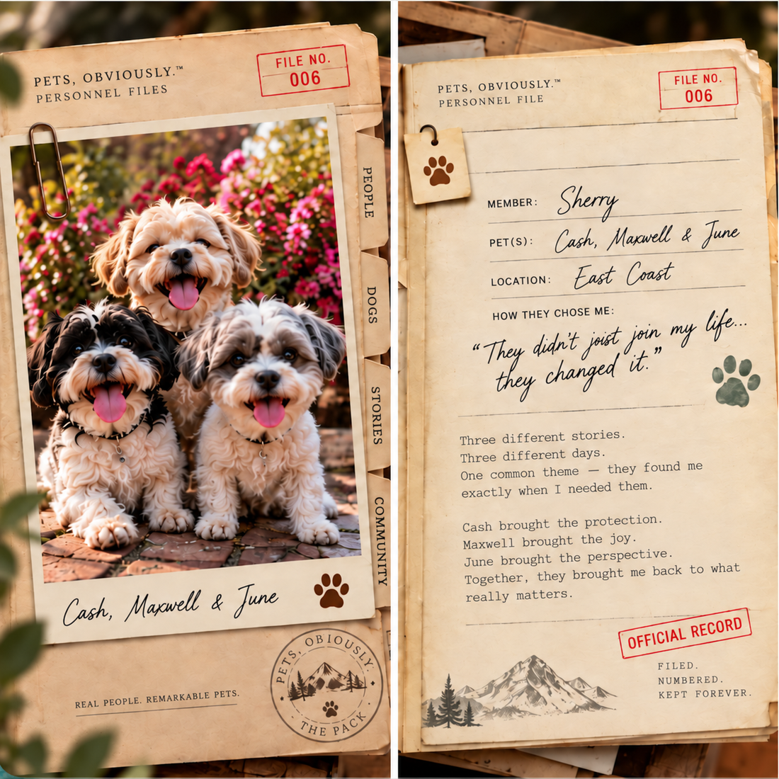 Personnel File No. 006 — Sherry + Cash, June, & Maxwell